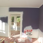 Painting Interior  Sunroom